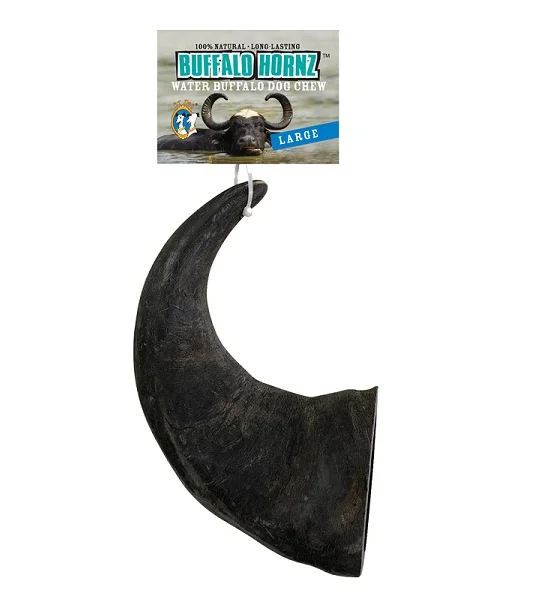 QT Buffalo Horn - Large