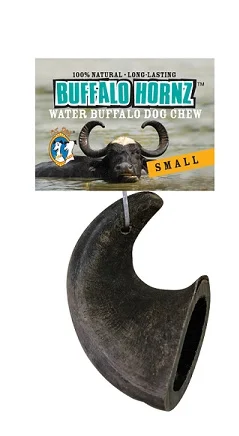 QT Buffalo Horn - Small