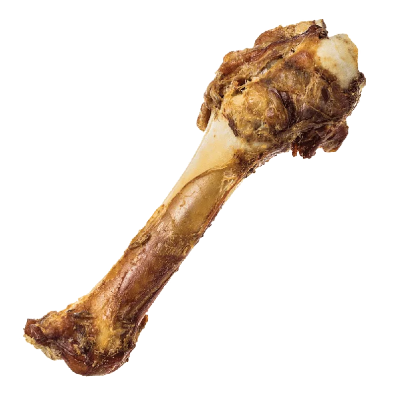 RedBarn Shank Bone