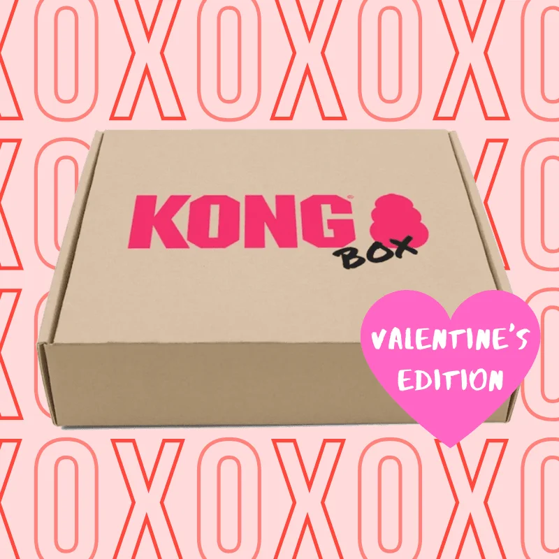 30% OFF: Kong Puppy Love Box