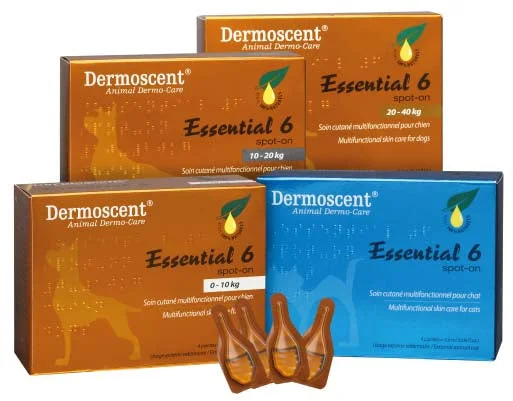 DERMOSCENT Essential 6 Spot on za pse, za regeneraciju oštećene kože