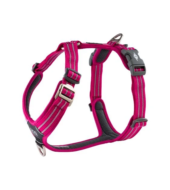 DOG Copenhagen Comfort Walk Air Harness (Wild Rose)