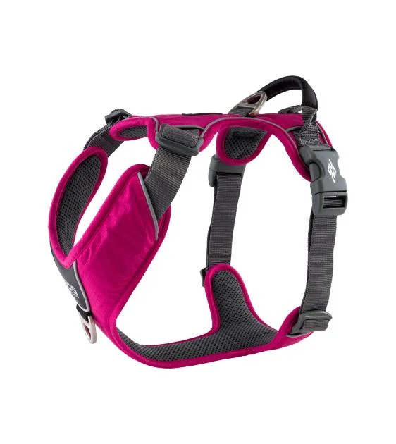 DOG Copenhagen Comfort Walk Pro Harness (Wild Rose)