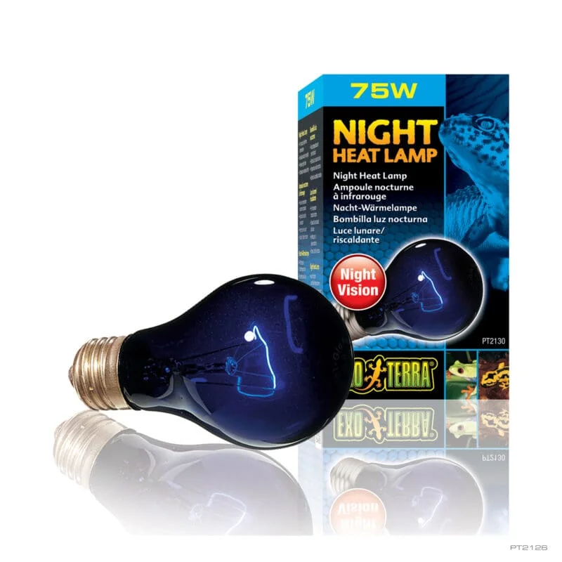 Exo Terra Night Glo Bulb 75w