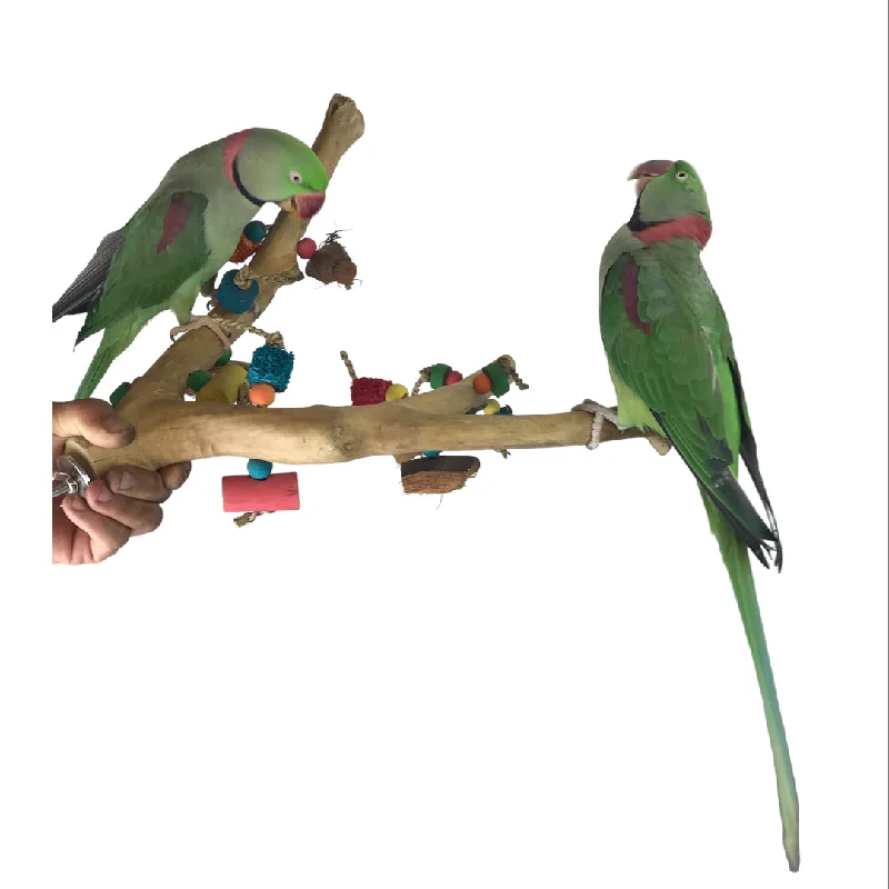 Ninos Java Multi Branch Perch with Toys for Birds Medium