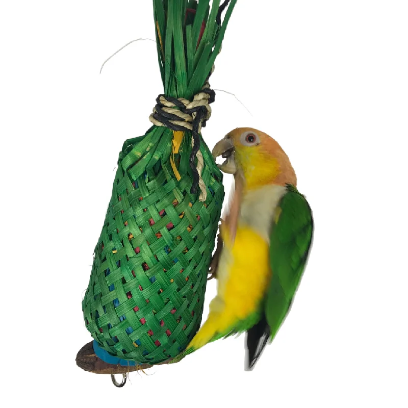 Ninos Java Pineapple foraging Toy for Birds Large