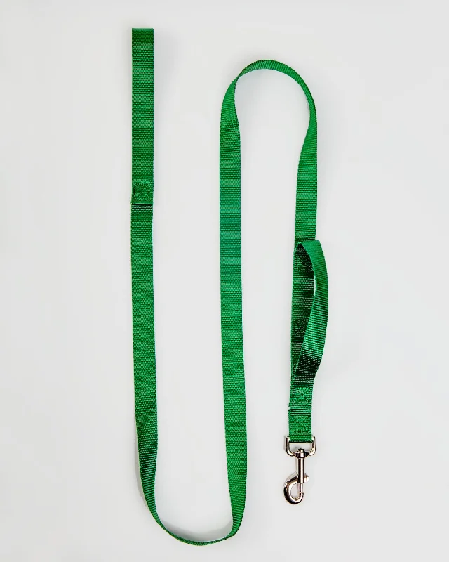 Nylon Dog Leash in Hunter Green (Made in the USA)