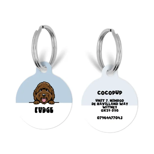 Personalised Dog Cartoon ID Tag - Blue