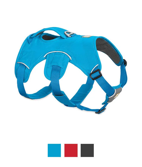 Ruffwear WebMaster Harness - S-BLUE