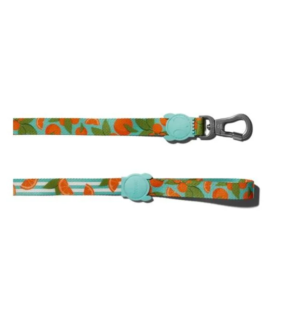 Zee.Dog Florida Dog Leash